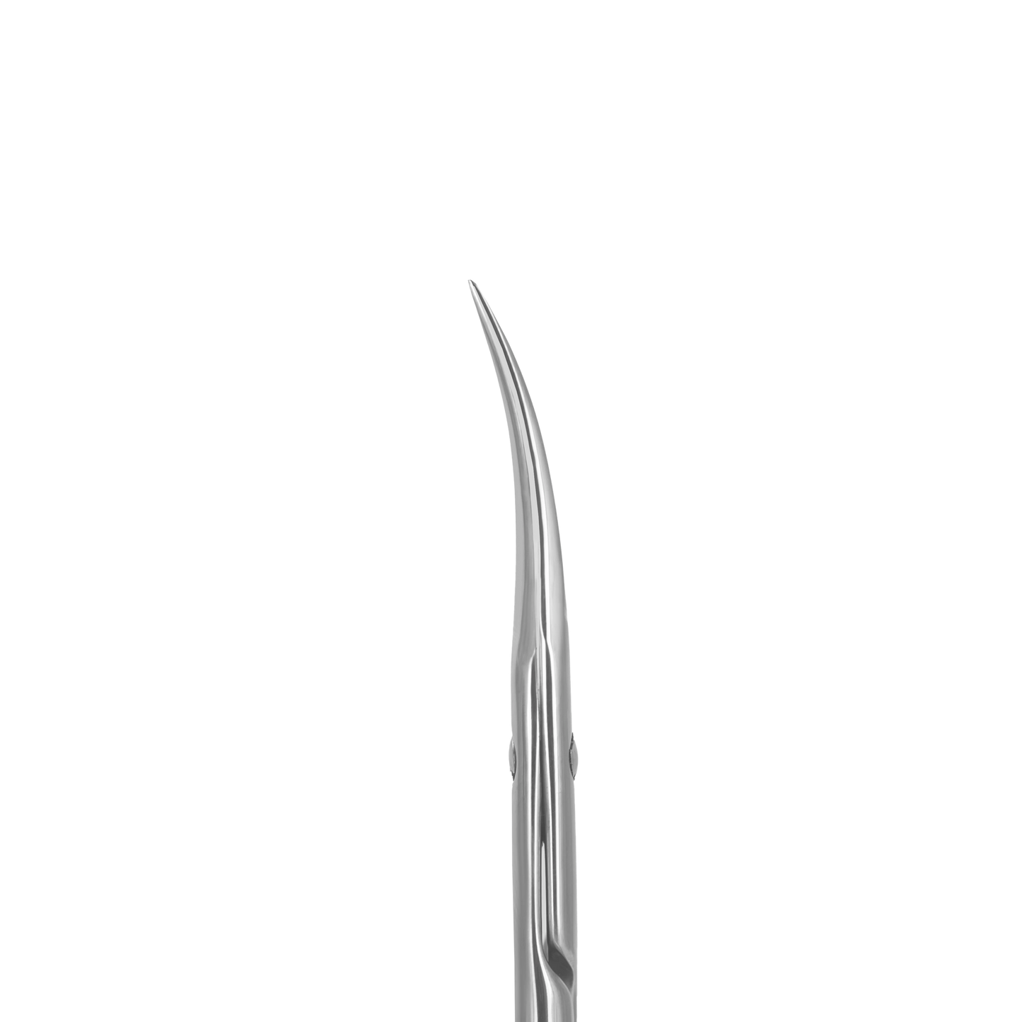 Gros plan sur les lames courbées des ciseaux Staleks SX-22/2m, affûtage manuel pour coupe ultra-précise.