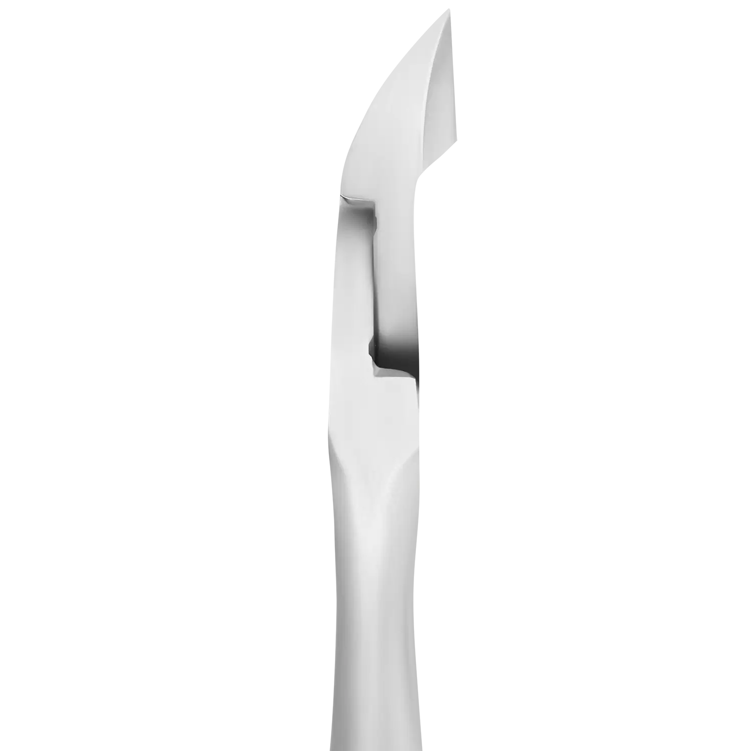 Mors droits sans inclinaison de la pince NE-10-9, détail des lames.