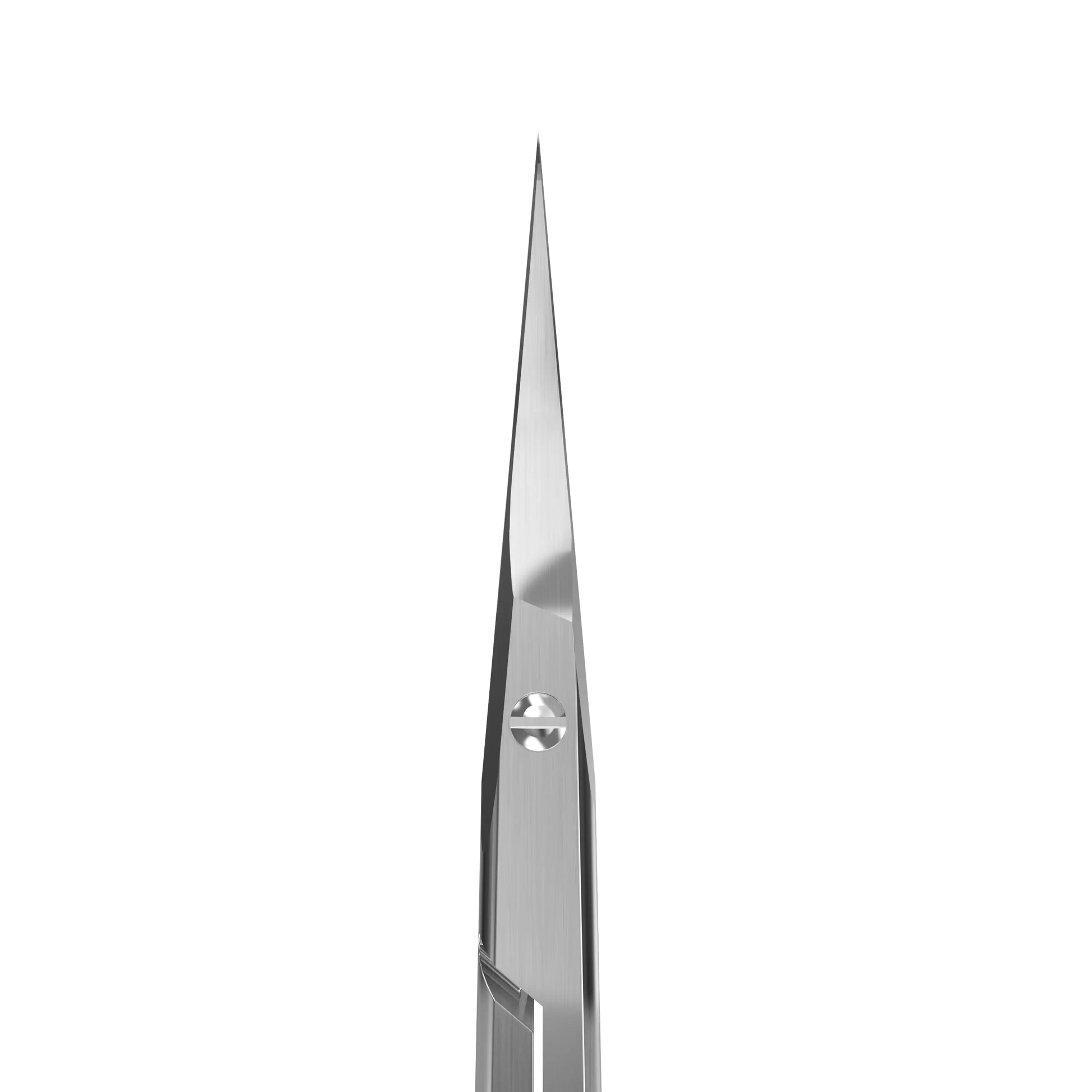 Gros plan sur la pointe des lames 25 mm des ciseaux STALEKS PRO SS-41/3 pour coupe précise de la cuticule.