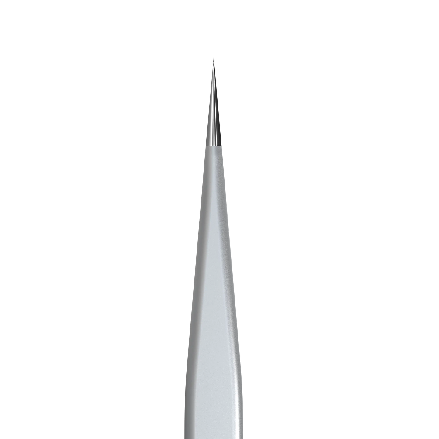 Gros plan de la pointe fine et droite de la pince Staleks TE-41/10.
