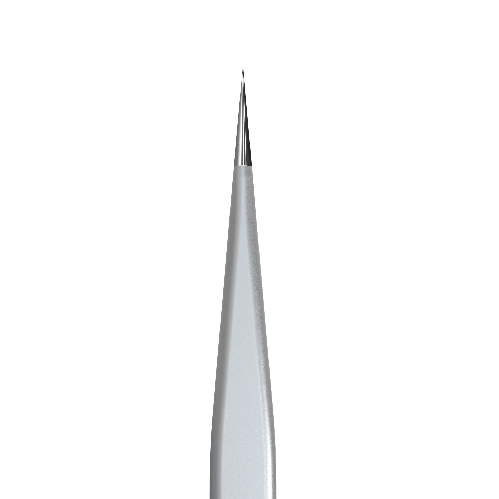 Gros plan de la pointe fine et droite de la pince Staleks TE-41/10.